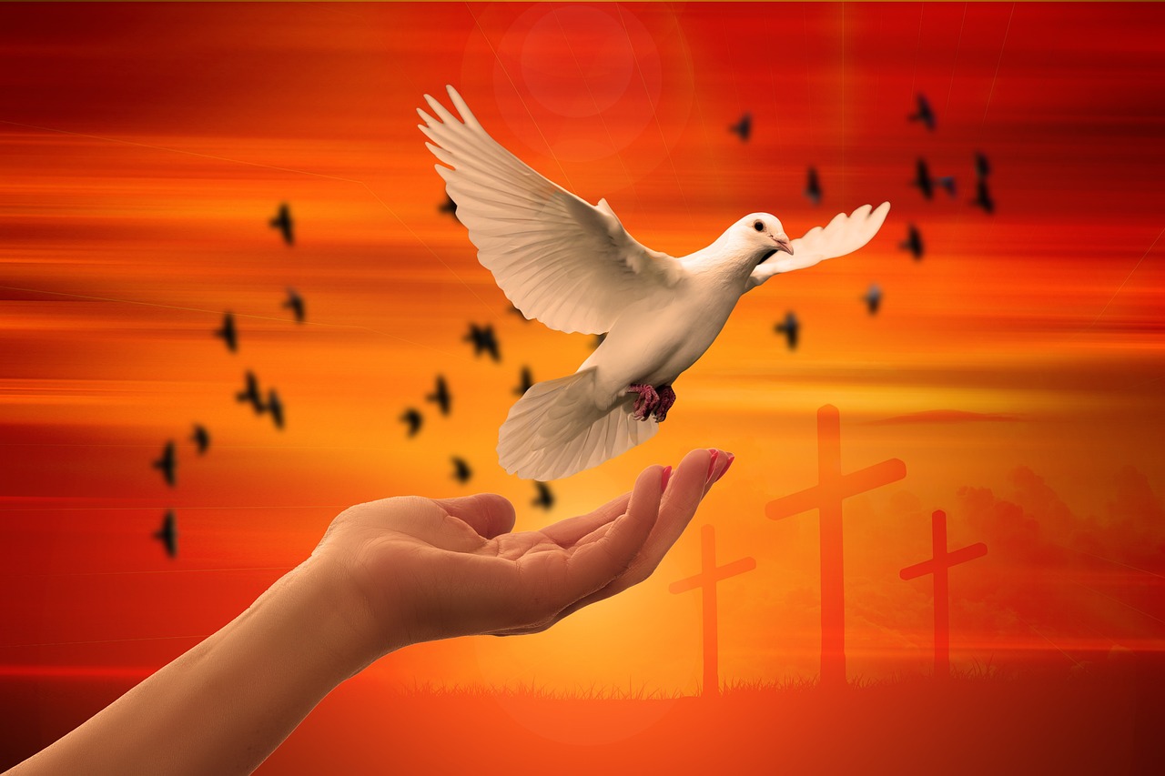 religion, faith, dove-3426160.jpg